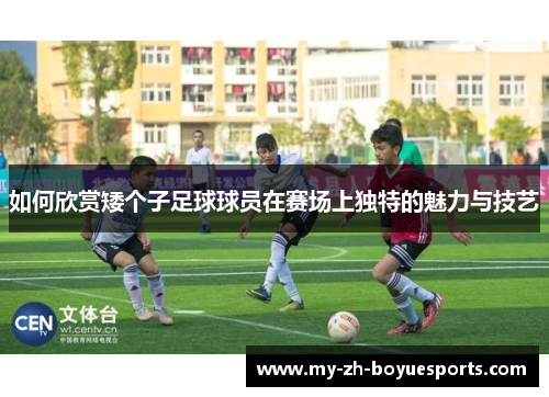 如何欣赏矮个子足球球员在赛场上独特的魅力与技艺