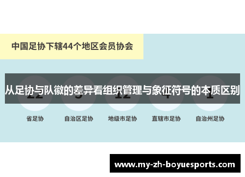 从足协与队徽的差异看组织管理与象征符号的本质区别