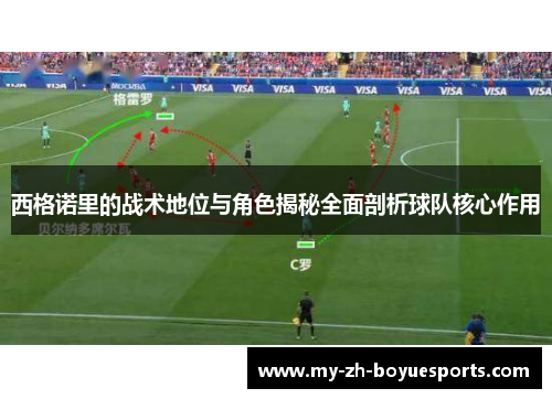 西格诺里的战术地位与角色揭秘全面剖析球队核心作用