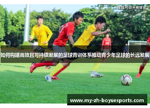 如何构建高效且可持续发展的足球青训体系推动青少年足球的长远发展